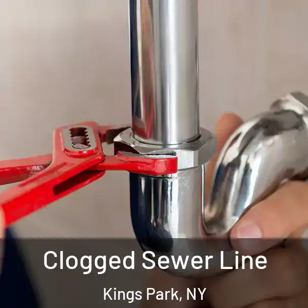  Clogged Sewer Line Kings Park, NY