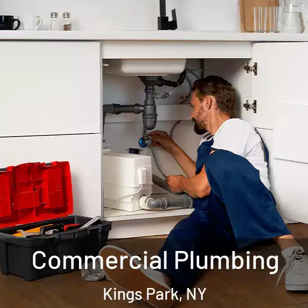  Commercial Plumbing Kings Park, NY